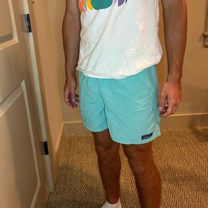 AQUA Patagonia 5” inseam baggie shorts in size small